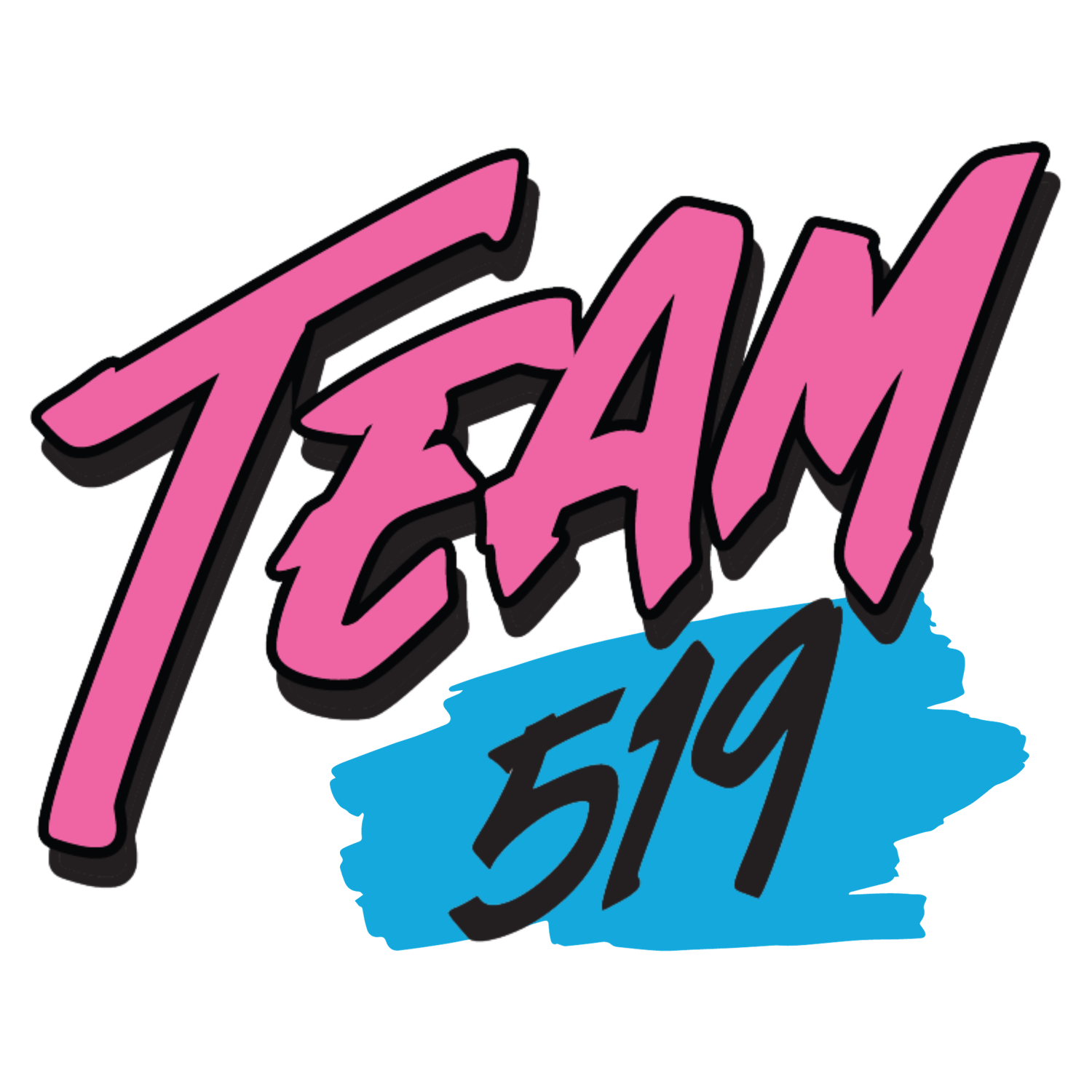 TEAM 519