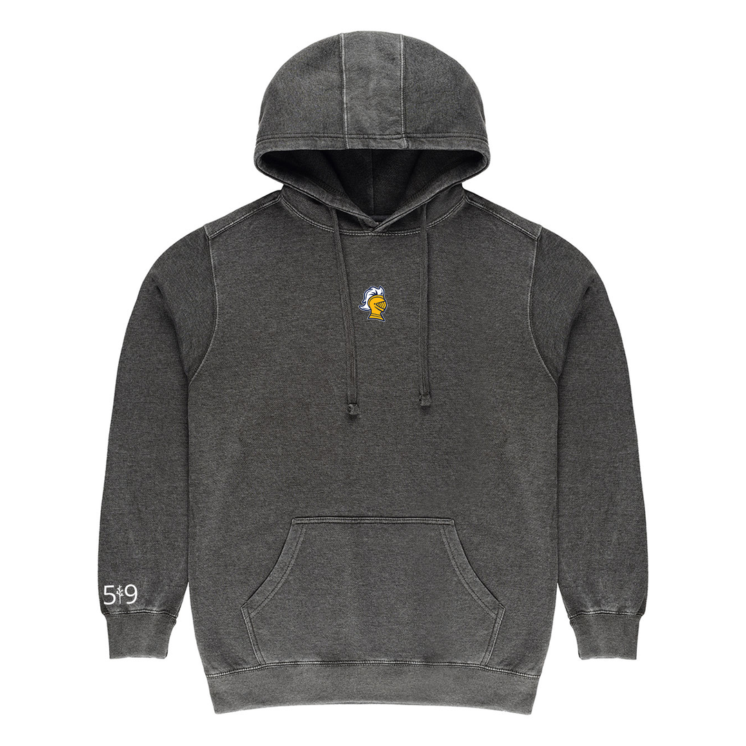 COLLEGE AVE EMBROIDERED VINTAGE HOODIE (UNISEX)