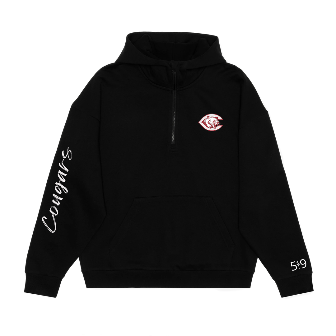 CENTRAL SIGNATURE SLEEVE SCUBA 1/2 ZIP HOODIE (UNISEX)