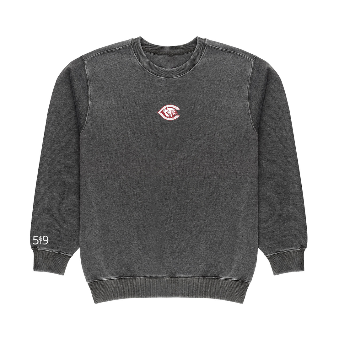 CENTRAL P.S. EMBROIDERED VINTAGE CREW (UNISEX)