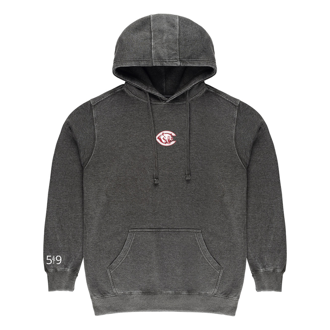 CENTRAL P.S. EMBROIDERED VINTAGE HOODIE (UNISEX)