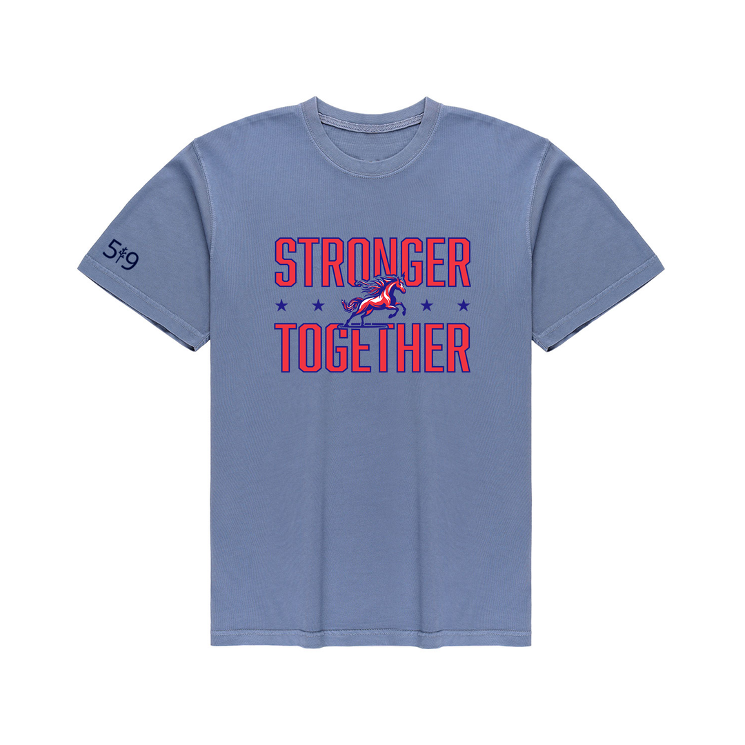 DELAWARE CENTRAL STRONGER TOGETHER VINTAGE TEE (UNISEX)