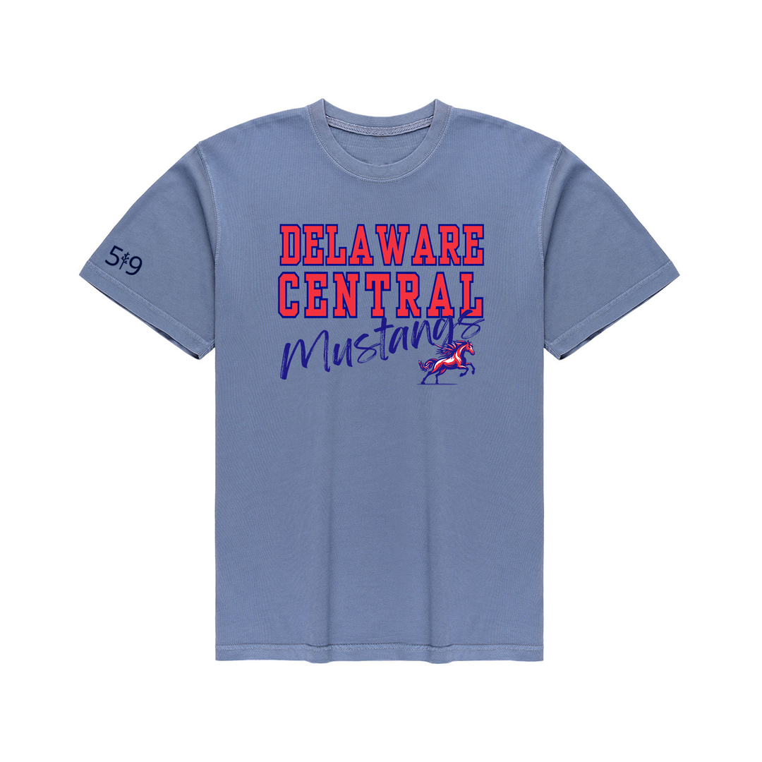 DELAWARE CENTRAL SIGNATURE VINTAGE TEE (UNISEX)