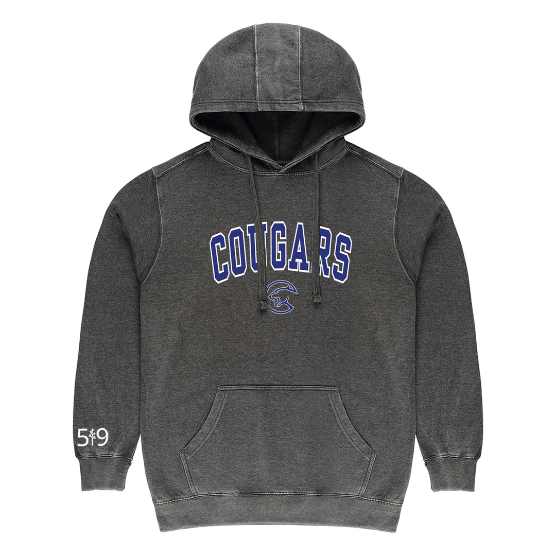 MONTCALM VARSITY VINTAGE HOODIE (UNISEX)