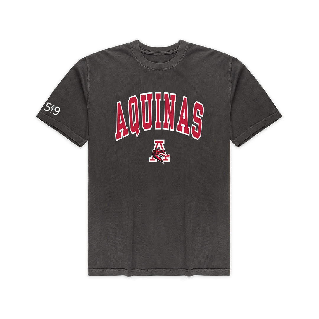 FLAMES VARSITY VINTAGE TEE (UNISEX)