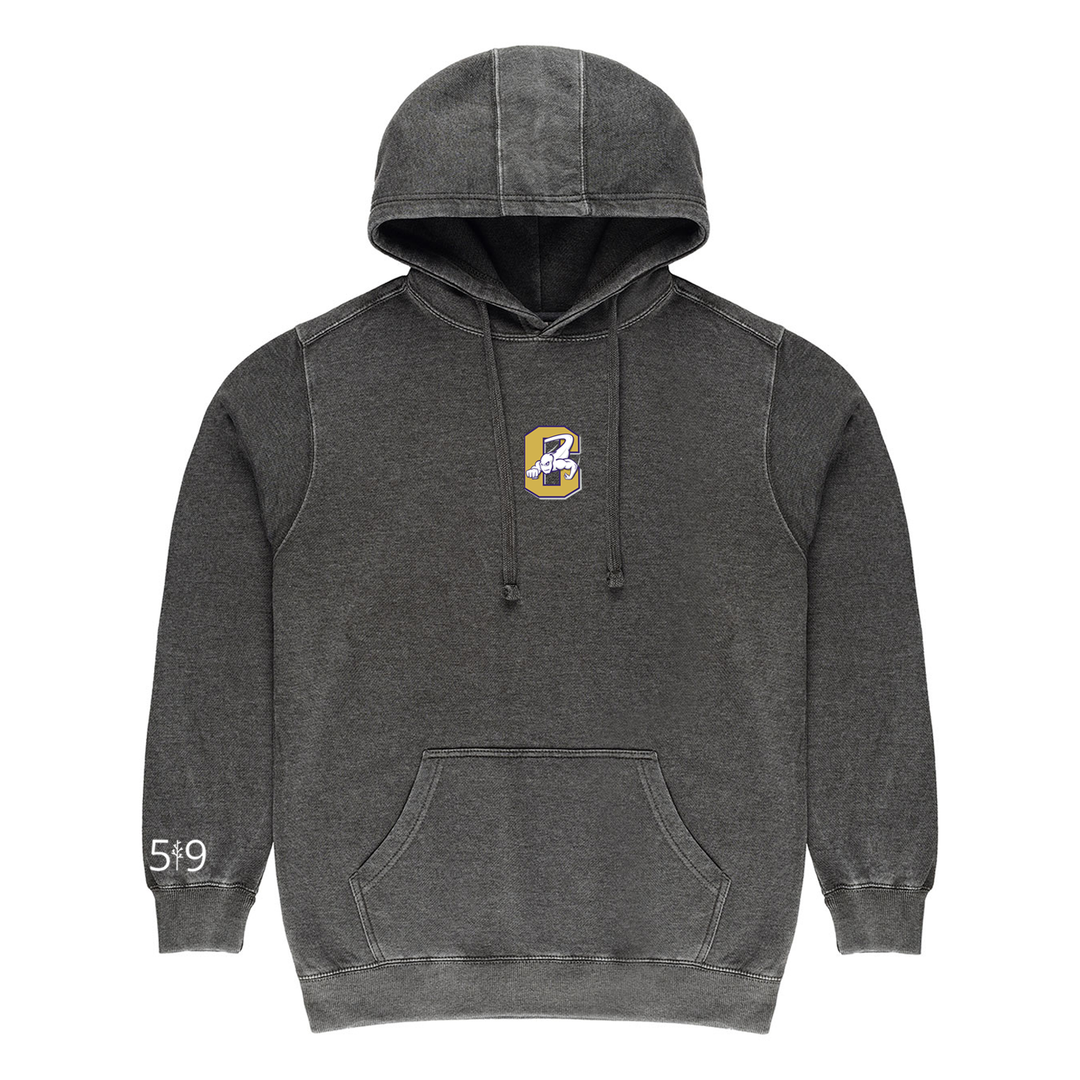 CENTRAL EMBROIDERED VINTAGE HOODIE (UNISEX)