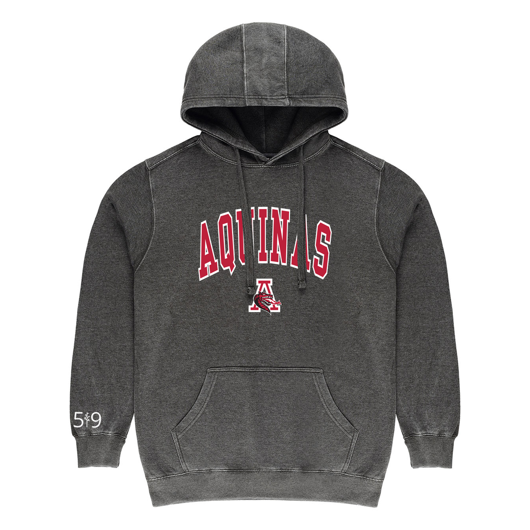 FLAMES VARSITY VINTAGE HOODIE (UNISEX)