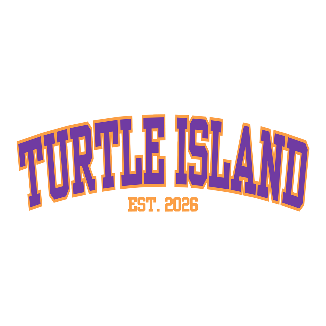 TURTLE ISLAND PUBLIC SCHOOL