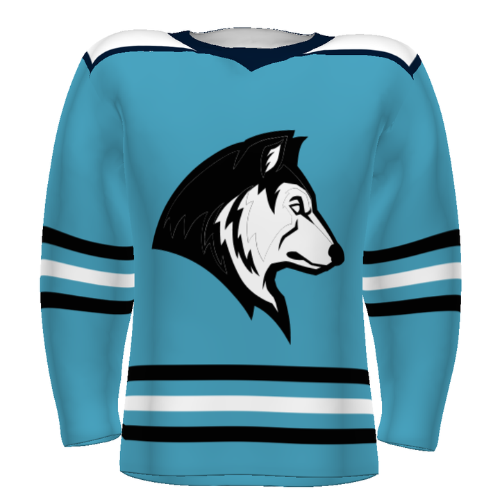 CUSTOMIZABLE HOCKEY JERSEY #228108