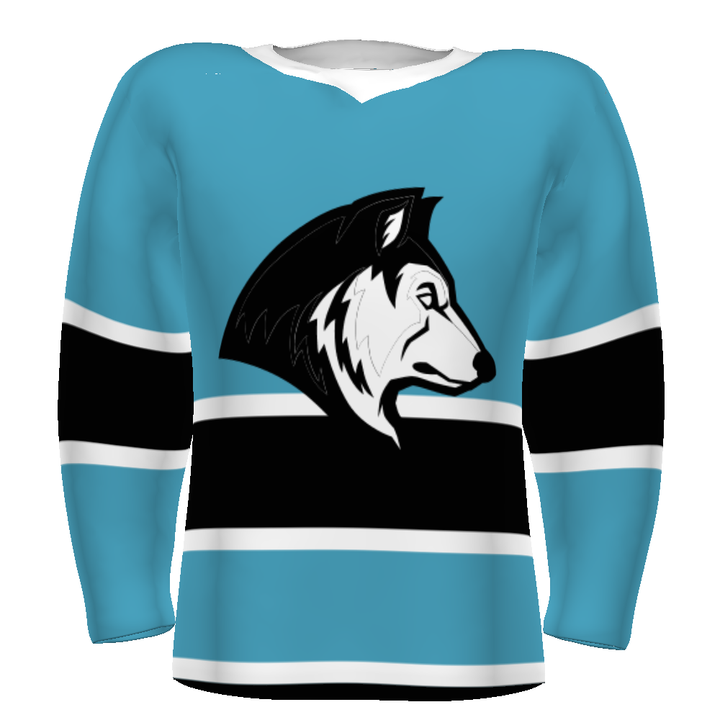 CUSTOMIZABLE HOCKEY JERSEY #228108
