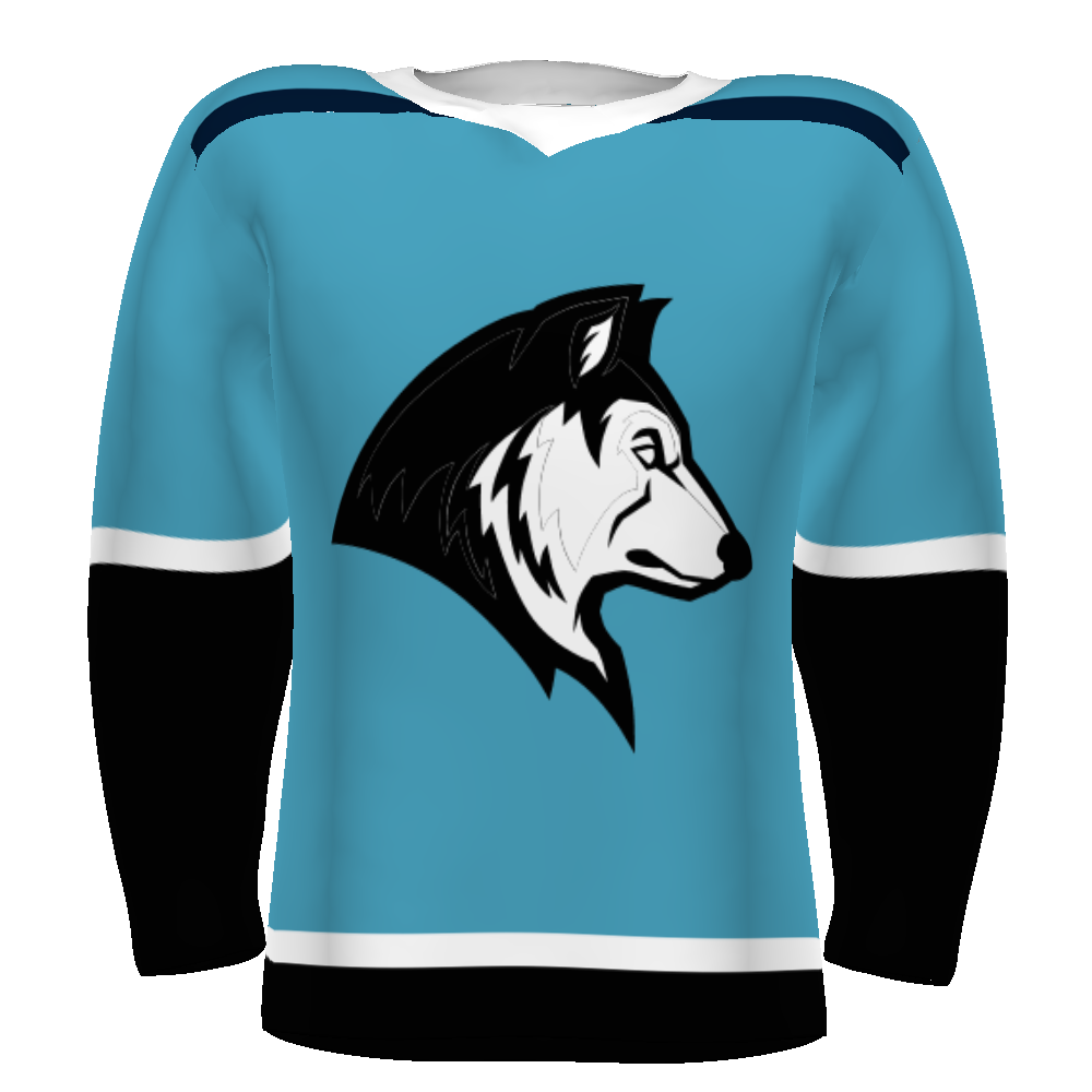 CUSTOMIZABLE HOCKEY JERSEY #228108