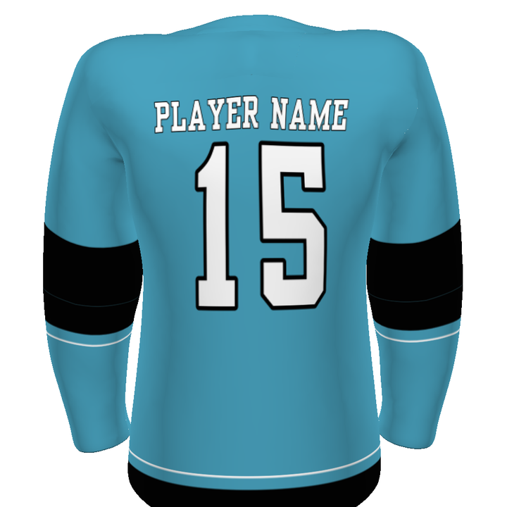 CUSTOMIZABLE HOCKEY JERSEY #228108