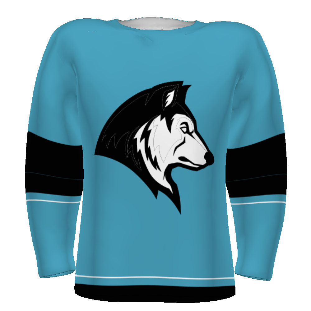 CUSTOMIZABLE HOCKEY JERSEY #228108