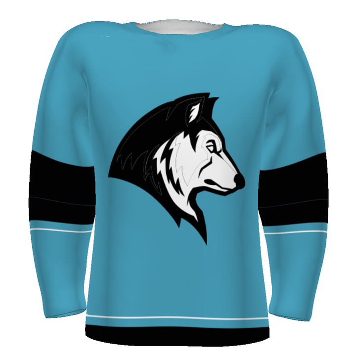 CUSTOMIZABLE HOCKEY JERSEY #228108