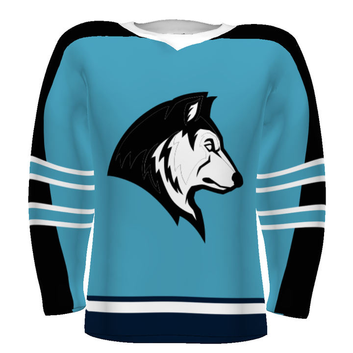 CUSTOMIZABLE HOCKEY JERSEY #228108