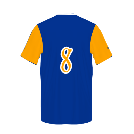 Customizable Baseball Jersey #228134