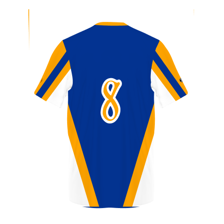 Customizable Baseball Jersey #228134