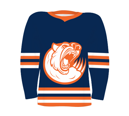 CUSTOMIZABLE YOUTH HOCKEY JERSEY #228208