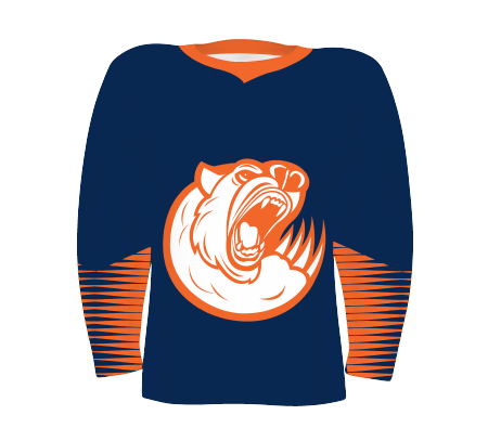 CUSTOMIZABLE YOUTH HOCKEY JERSEY #228208