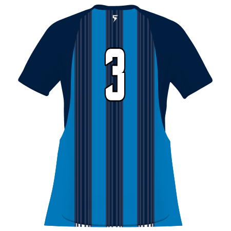 Customizable Soccer Jersey #321550