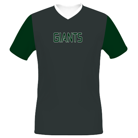 Customizable Youth Soccer Jersey #321551