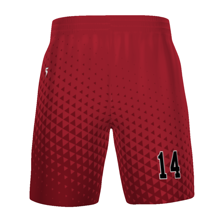 Customizable Unisex Soccer Shorts #321810