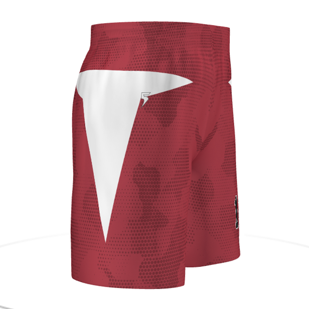 Customizable Unisex Soccer Shorts #321810