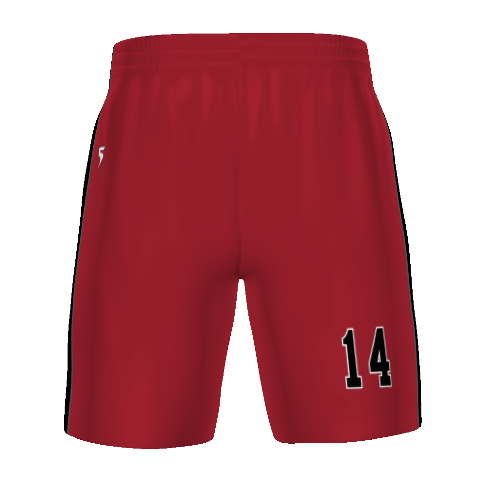 Customizable Unisex Soccer Shorts #321810