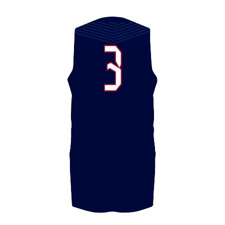 Customizable Unisex Dynaspeed Basketball Jersey #4B3VTA