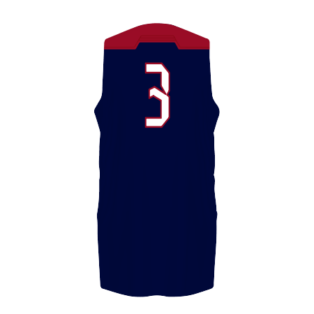Customizable Unisex Dynaspeed Basketball Jersey #4B3VTA