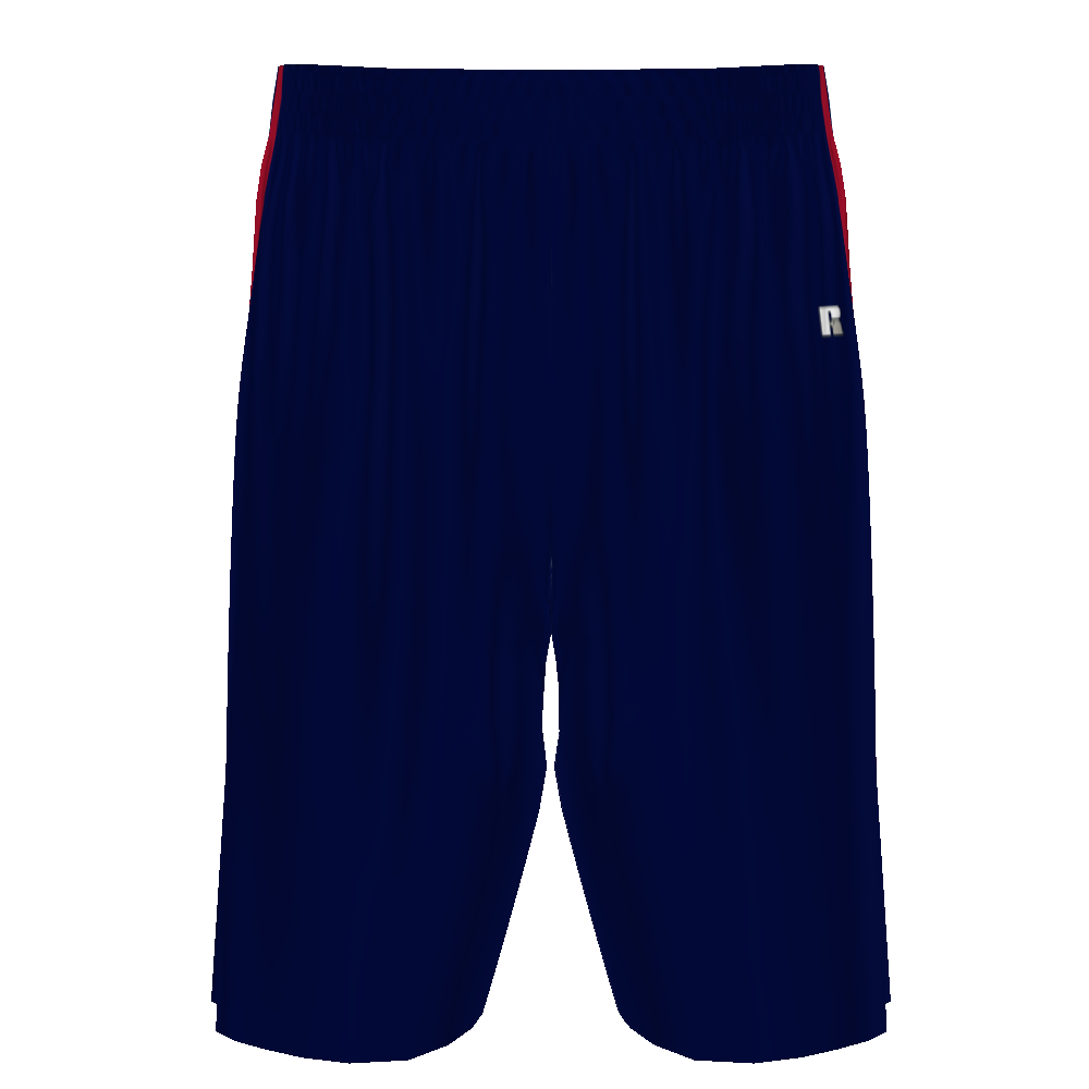 Customizable Mens Dynaspeed Basketball 10" Shorts #4B3VTB