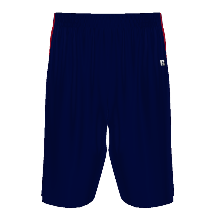 Customizable Mens Dynaspeed Basketball 10" Shorts #4B3VTB