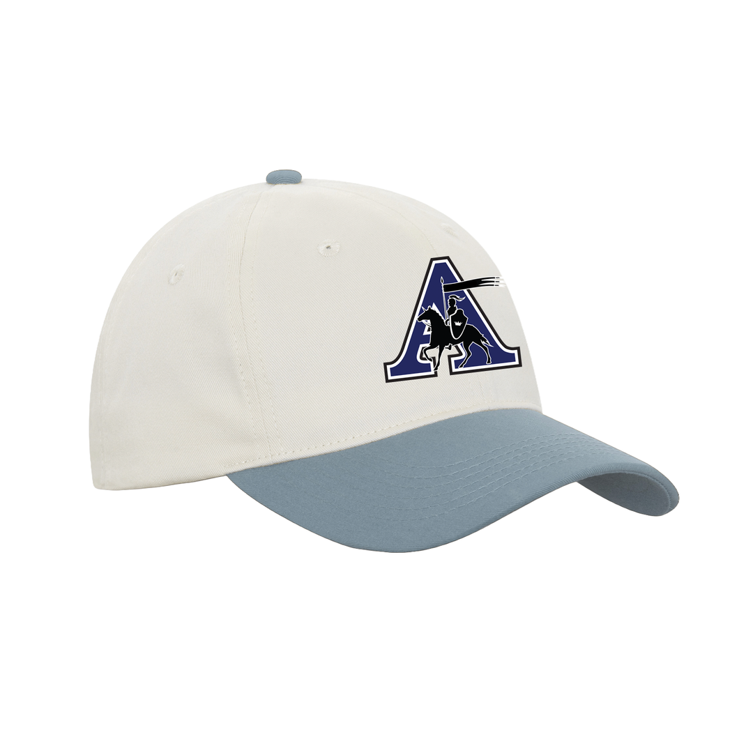 ASSUMPTION EMBROIDERED RETRO DAD CAP