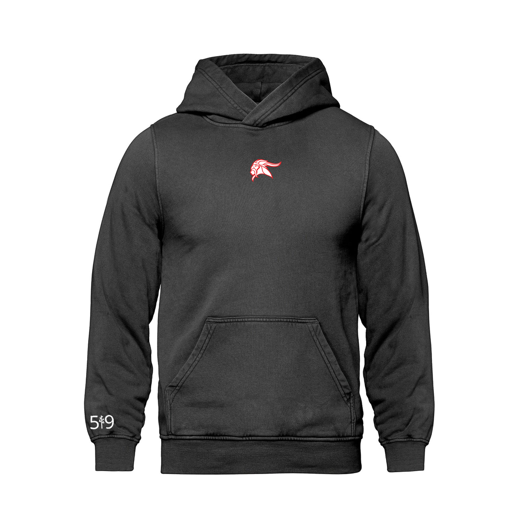 ARTHUR VOADEN EMBROIDERED RETRO HOODIE (UNISEX)