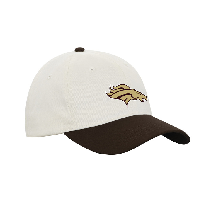 BANTING EMBROIDERED RETRO DAP CAP