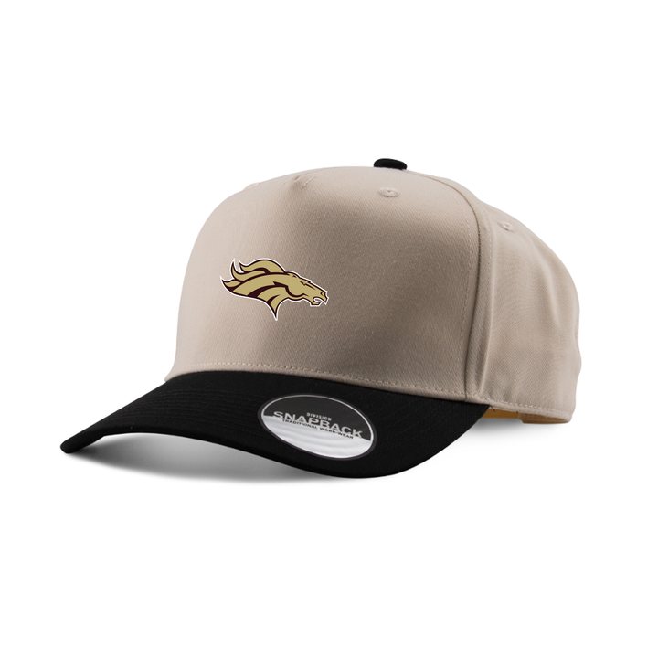 BANTING EMBROIDERED TWO-TONE PANEL CAP