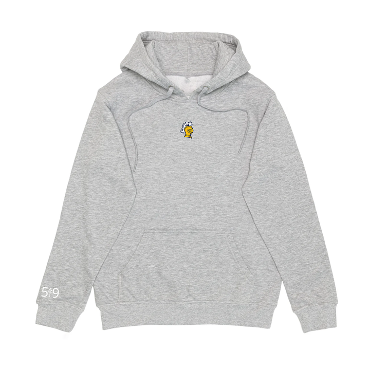COLLEGE AVE EMBROIDERED HOODIE (UNISEX)