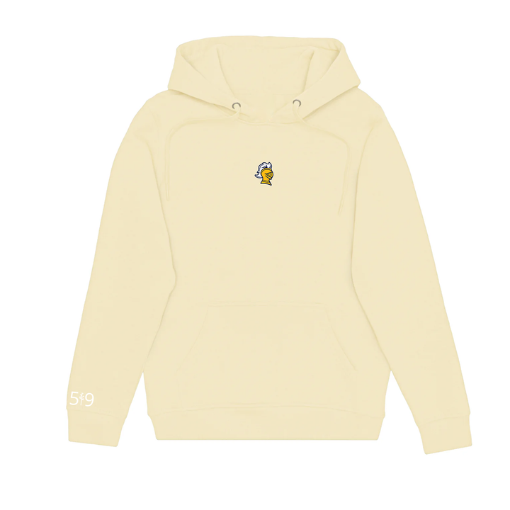 COLLEGE AVE EMBROIDERED HOODIE (UNISEX)