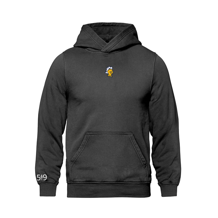 COLLEGE AVE EMBROIDERED RETRO HOODIE (UNISEX)