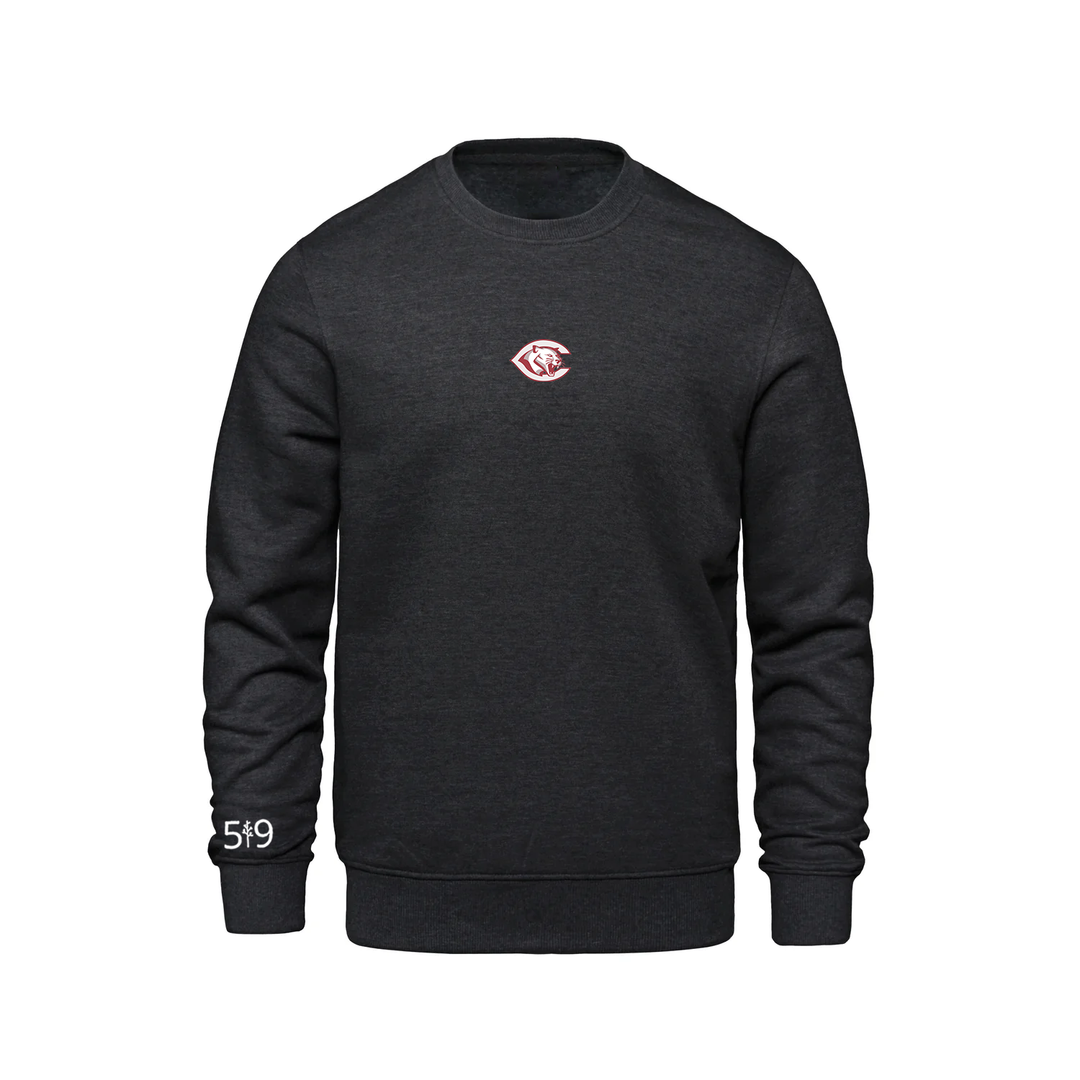CENTRAL P.S. EMBROIDERED CREW (UNISEX)