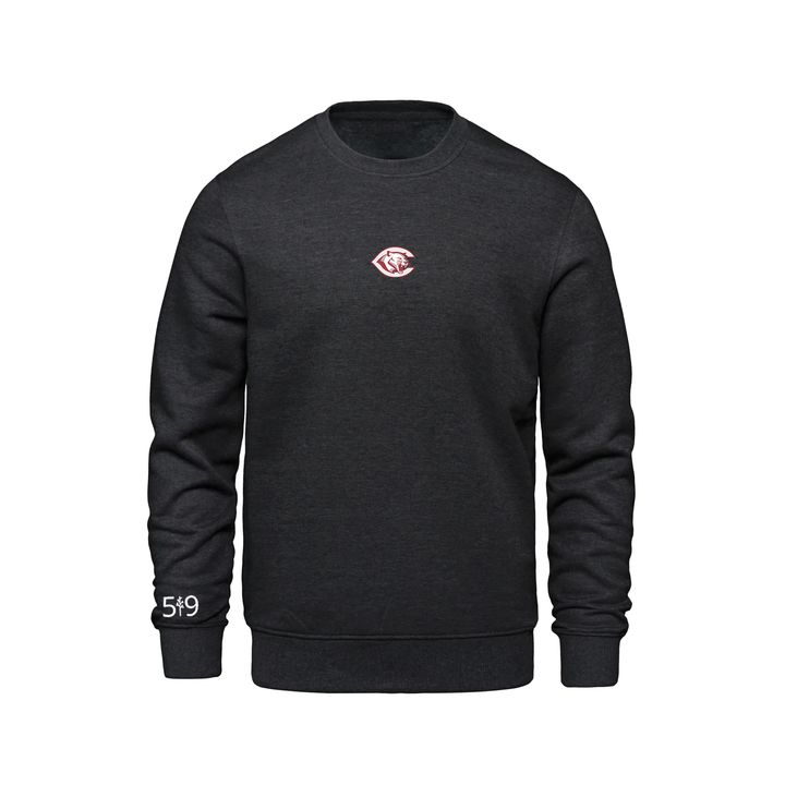 CENTRAL P.S. EMBROIDERED CREW (UNISEX)
