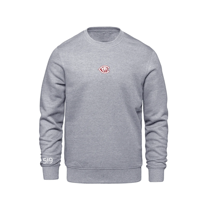 CENTRAL P.S. EMBROIDERED CREW (YOUTH)
