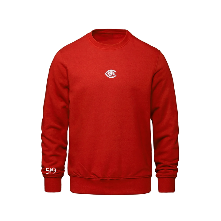 CENTRAL P.S. EMBROIDERED CREW (YOUTH)