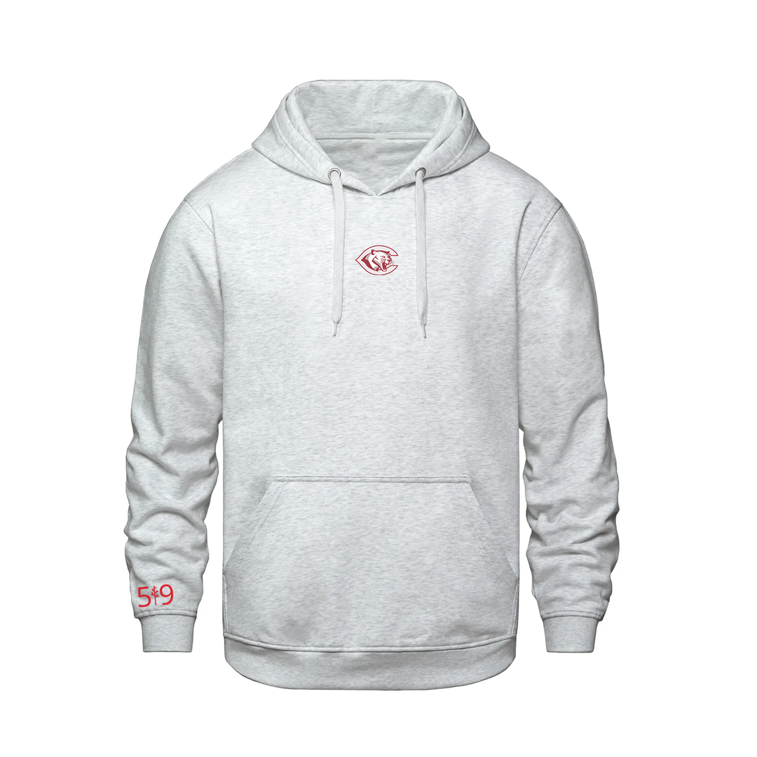 CENTRAL P.S. EMBROIDERED HOODIE (UNISEX)