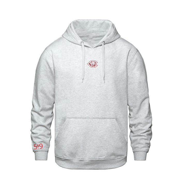 CENTRAL P.S. EMBROIDERED HOODIE (UNISEX)