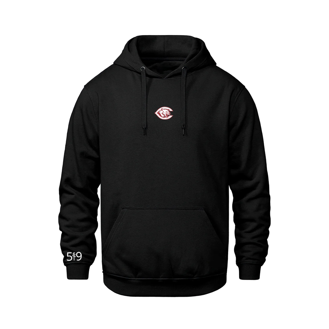 CENTRAL P.S. EMBROIDERED HOODIE (YOUTH)