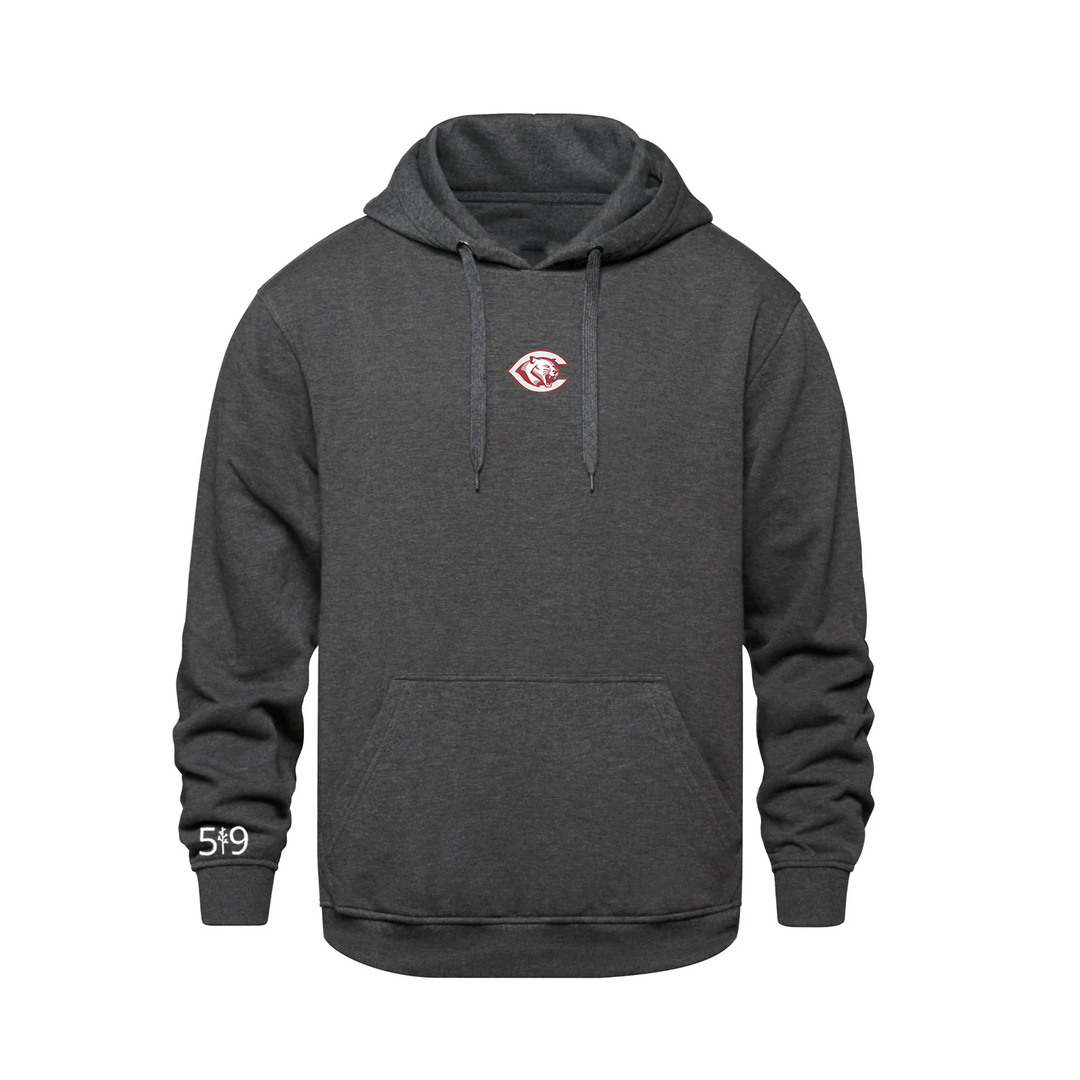 CENTRAL P.S. EMBROIDERED HOODIE (UNISEX)