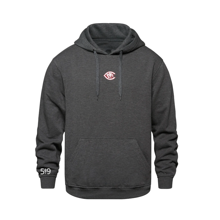 CENTRAL P.S. EMBROIDERED HOODIE (UNISEX)