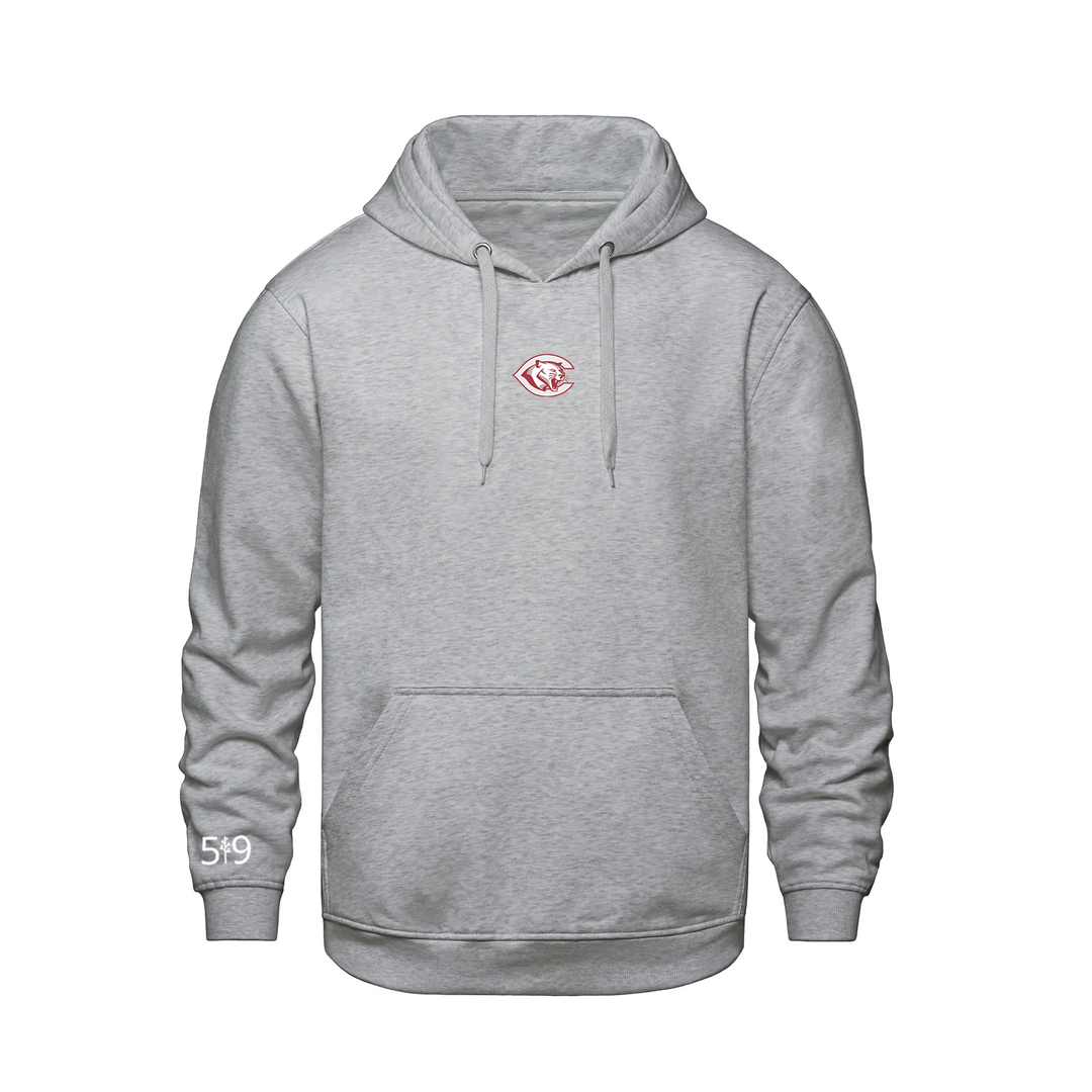 CENTRAL P.S. EMBROIDERED HOODIE (YOUTH)