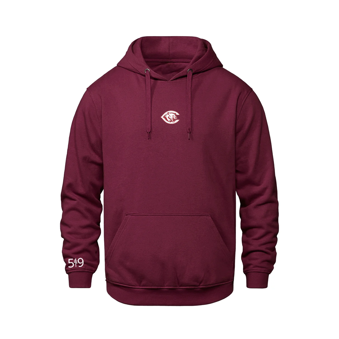 CENTRAL P.S. EMBROIDERED HOODIE (UNISEX)